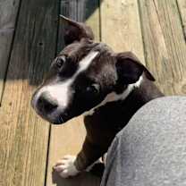 Thumbnail photo of Wednesday #3