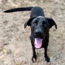 Thumbnail photo of $00 Ranger #2