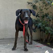 Thumbnail photo of Barney #1