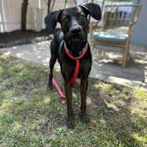 Thumbnail photo of Barney #4