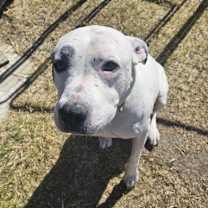 Thumbnail photo of Sam #1