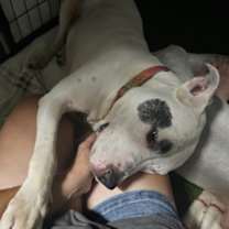 Thumbnail photo of Sam #4