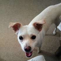 Thumbnail photo of Keeba #4