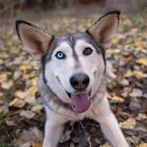 Thumbnail photo of Nina #1