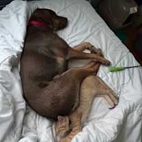 Thumbnail photo of Bandit #3