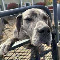 Thumbnail photo of Ice #4