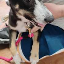 Thumbnail photo of Gabi #4