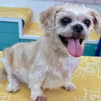 Thumbnail photo of Inspiration 13496 #1