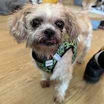 Thumbnail photo of Inspiration 13496 #2