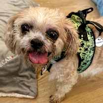 Thumbnail photo of Inspiration 13496 #3