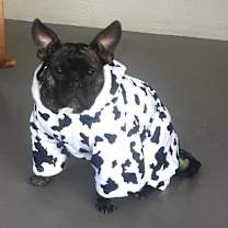 Thumbnail photo of Mia #3