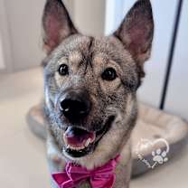 Thumbnail photo of Haran #3