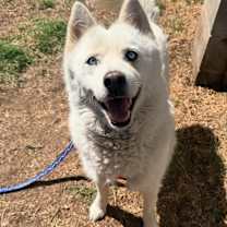 Thumbnail photo of Spice #1