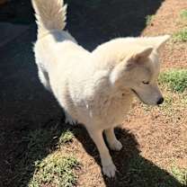 Thumbnail photo of Spice #2