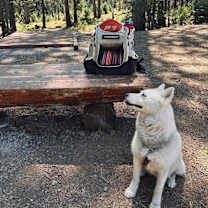 Thumbnail photo of Spice #3