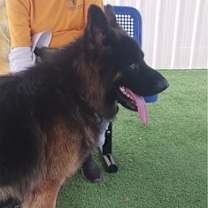 Thumbnail photo of Romulus #1