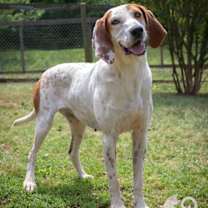 Thumbnail photo of Louise #4