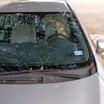 Thumbnail photo of VERA #3