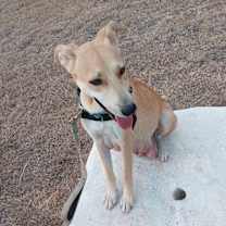 Thumbnail photo of VERA #4