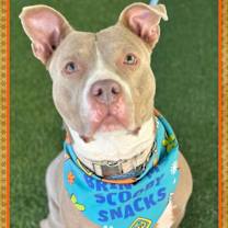 Thumbnail photo of NALA #2