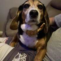 Thumbnail photo of Willie #1