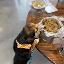 Thumbnail photo of Willie #4