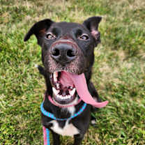 Thumbnail photo of Lucki #1