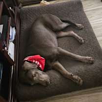 Thumbnail photo of *** Chloe #3