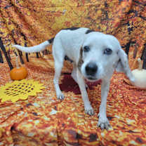 Thumbnail photo of Lyla #2