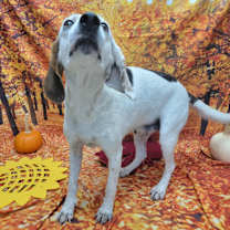 Thumbnail photo of Lyla #4