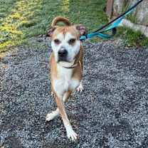 Thumbnail photo of Tony 160 #2