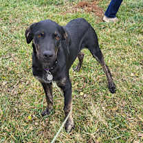 Thumbnail photo of Oscar #2