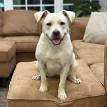 Thumbnail photo of Lolly #1