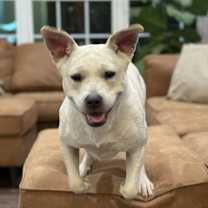 Thumbnail photo of Lolly #3