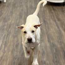 Thumbnail photo of Chance #2