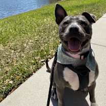 Thumbnail photo of Daisy #1