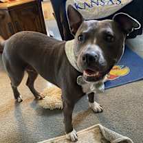 Thumbnail photo of Daisy #2