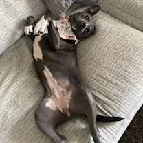 Thumbnail photo of Daisy #3