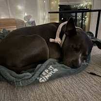 Thumbnail photo of Daisy #4