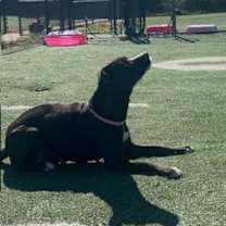 Thumbnail photo of Leah #4