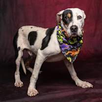 Thumbnail photo of Funky Town #2