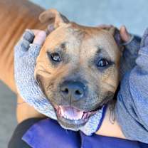 Thumbnail photo of Beach Wave #2