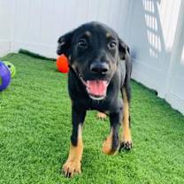 Thumbnail photo of Jill #2