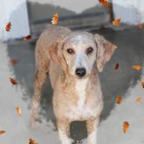 Thumbnail photo of Brady #1