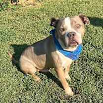 Thumbnail photo of Kobe #4