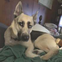 Thumbnail photo of Bonnie #3