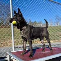 Thumbnail photo of Eclipse #3