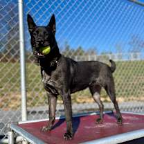 Thumbnail photo of Eclipse #4