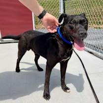 Thumbnail photo of Alexander #2