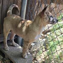 Thumbnail photo of Nessie #4